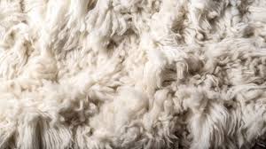 fluffy long hair seamless carpet plush
