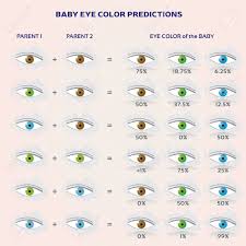 Baby Eye Color Prediction Chart Icons In Blue Green And Brown