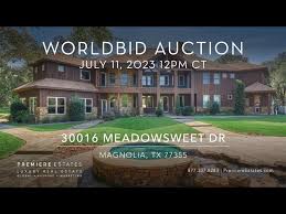 worldbid auction 30016 meadowsweet dr