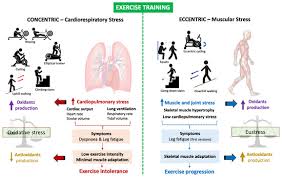 eccentric training