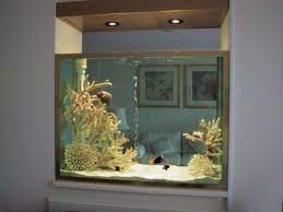 Aquarium Design Ideas For Home gambar png