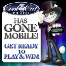 Cool cat casino is an online casino using software created by real time gaming. Cool Cat Casino