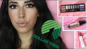 full face dollar tree makeup challenge