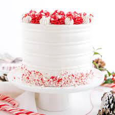 Chocolate Peppermint Cake - Liv for Cake