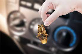roaches in your car how they get in