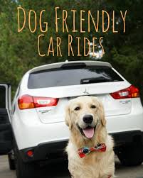 dog friendly things to do in carmel by