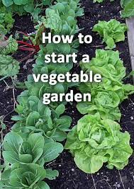 How To Make An Edible Garden The