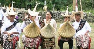 Daftar 9 busana tradisional di nusa tenggara timur. Pakaian Adat Dari Nusa Tenggara Timur Ntt Cinta Indonesia