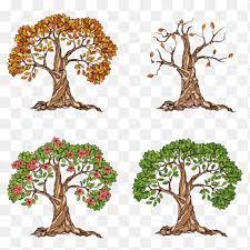 summer tree png images pngegg
