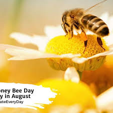 world honey bee day august 17