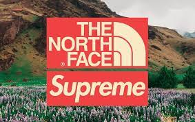 supreme the north face releasing for