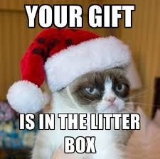 Image result for cats and christmas presents