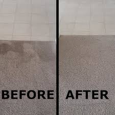 andrew pook s carpet cleaning service