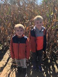 Greater Lansing Area Corn Mazes 6