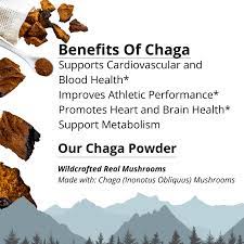 organic chaga mushroom powder