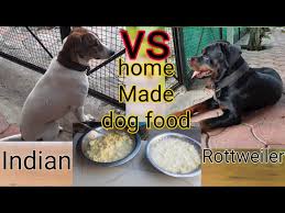 stray dogs ghar me banaye dog food