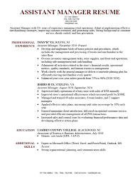 istant manager resume exle and tips
