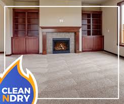 carpet cleaning orlando better than