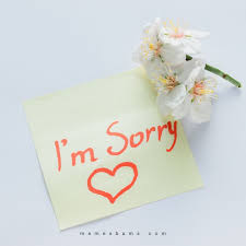 i m sorry eessages for her