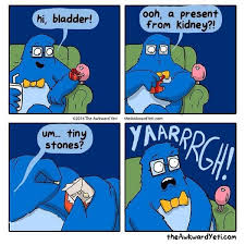 A kidney stone is a hard mass that forms in one or both kidneys from minerals in the urine, and if large enough, can cause severe. Kidney Stones Jokes