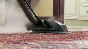 onsite rug cleaning you