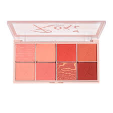 blush palette makeup revolution blush
