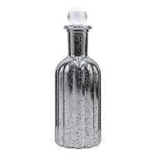 Found Fable Mercury Glass Bottle Vase
