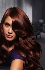 Most people will describe it simply as reddish brown while others prefer to describe it as a brown shade of auburn. Deep Auburn Hair Color Deep Auburn Hair Dark Auburn Hair Hair Styles