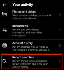 clear insram search suggestions history