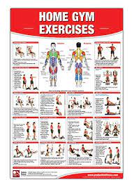 home gym exercises laminated poster