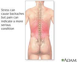 low back pain chronic information
