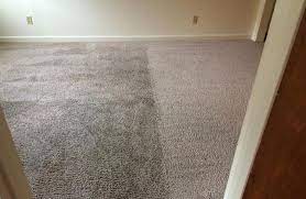 carpet dyeing in cincinnati dayton