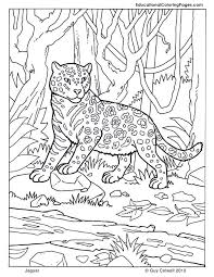jaguar educational fun kids coloring