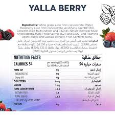 yalla berry slush 1 89 liters chef s play