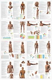 Acupuncture Meridian Pathways Points Poster Set