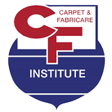 professional upholstery cleaning carpet