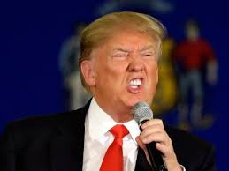 Image result for Pictures of Donald Trump