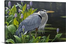 Blue Heron Canvas Wall Art Print
