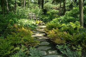 38 Wonderful Woodland Garden Ideas