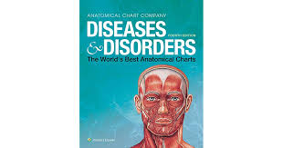 Diseases Disorders The Worlds Best Anatomical Charts By