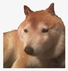 There are 200 doge meme png for sale on etsy, and they cost $7.83 on average. Doge Meme Png Images Free Transparent Doge Meme Download Kindpng
