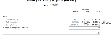 foreign exchange gain and loss