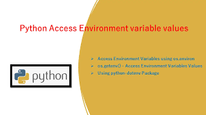 python access environment variable
