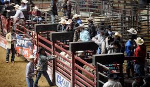 sle rodeo set to cowboy up with