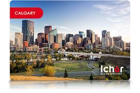 Services, news & more from your local government. Calgary Corporate Or Travel Covid Antibody Or Pcr Test Ichor Blood