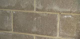 removing efflorescence from concrete
