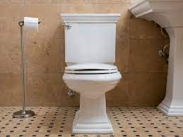Common Toilet Problems