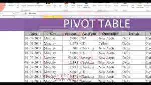 learn pivot table in excel 2010