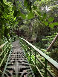 Hutan desa setianegara merupakan spot yang tepat buat kamu yang ingin menyepi. Hutan Kota Bungkirit Wikipedia Bahasa Indonesia Ensiklopedia Bebas