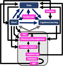 effect of sleep and mood on academic